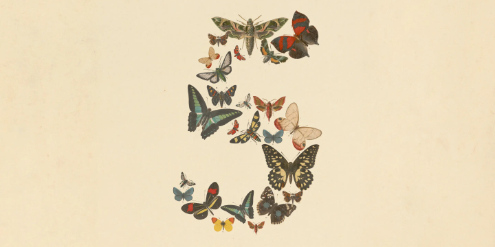 Claude Fable 5